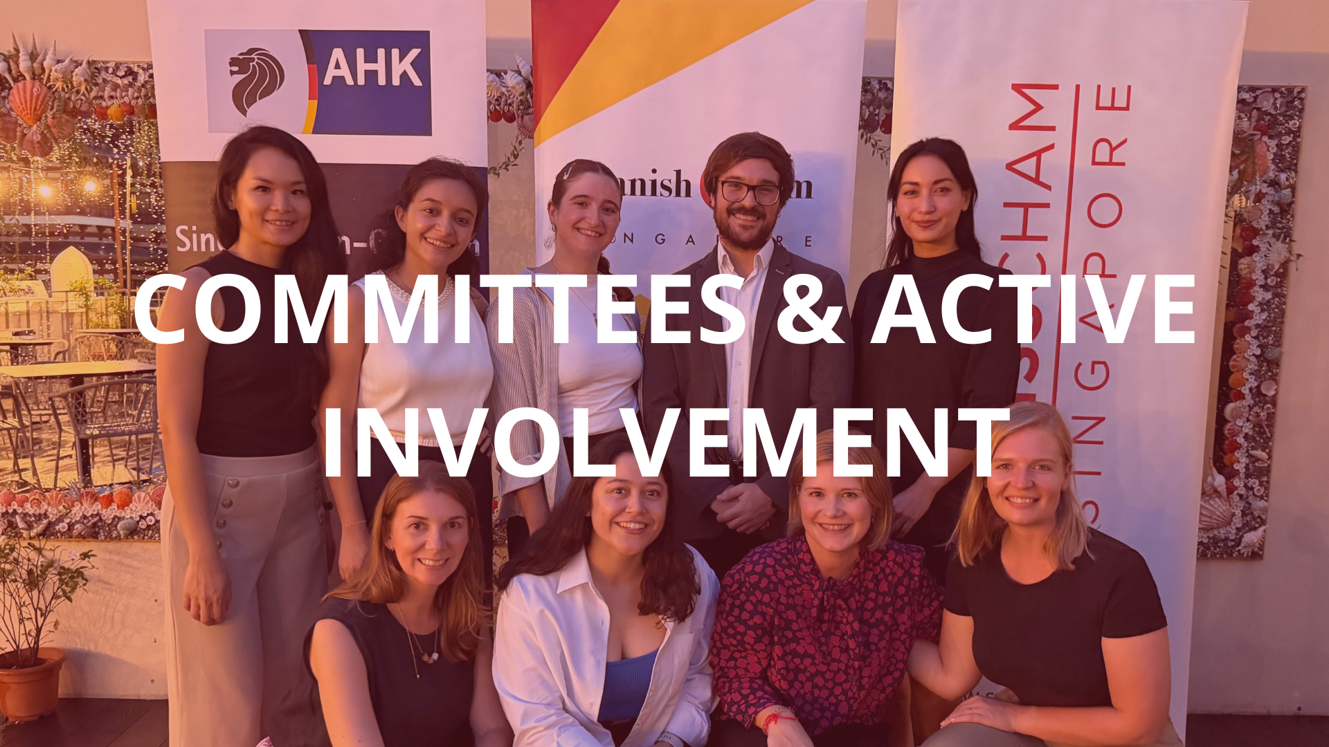 Committees & Active Involvement - Spanish Chamber Singapore