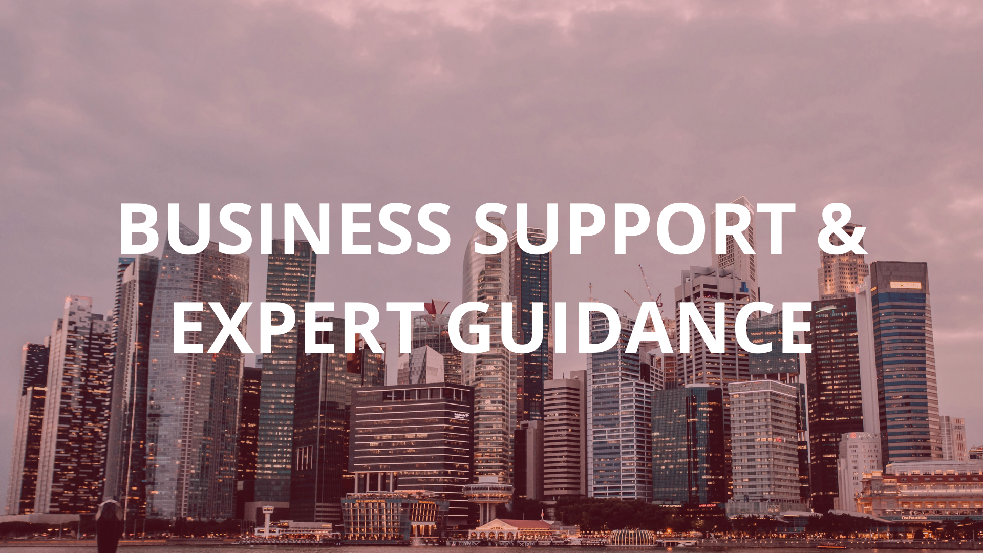 Business support & expert guidance - Spanish chamber singapore