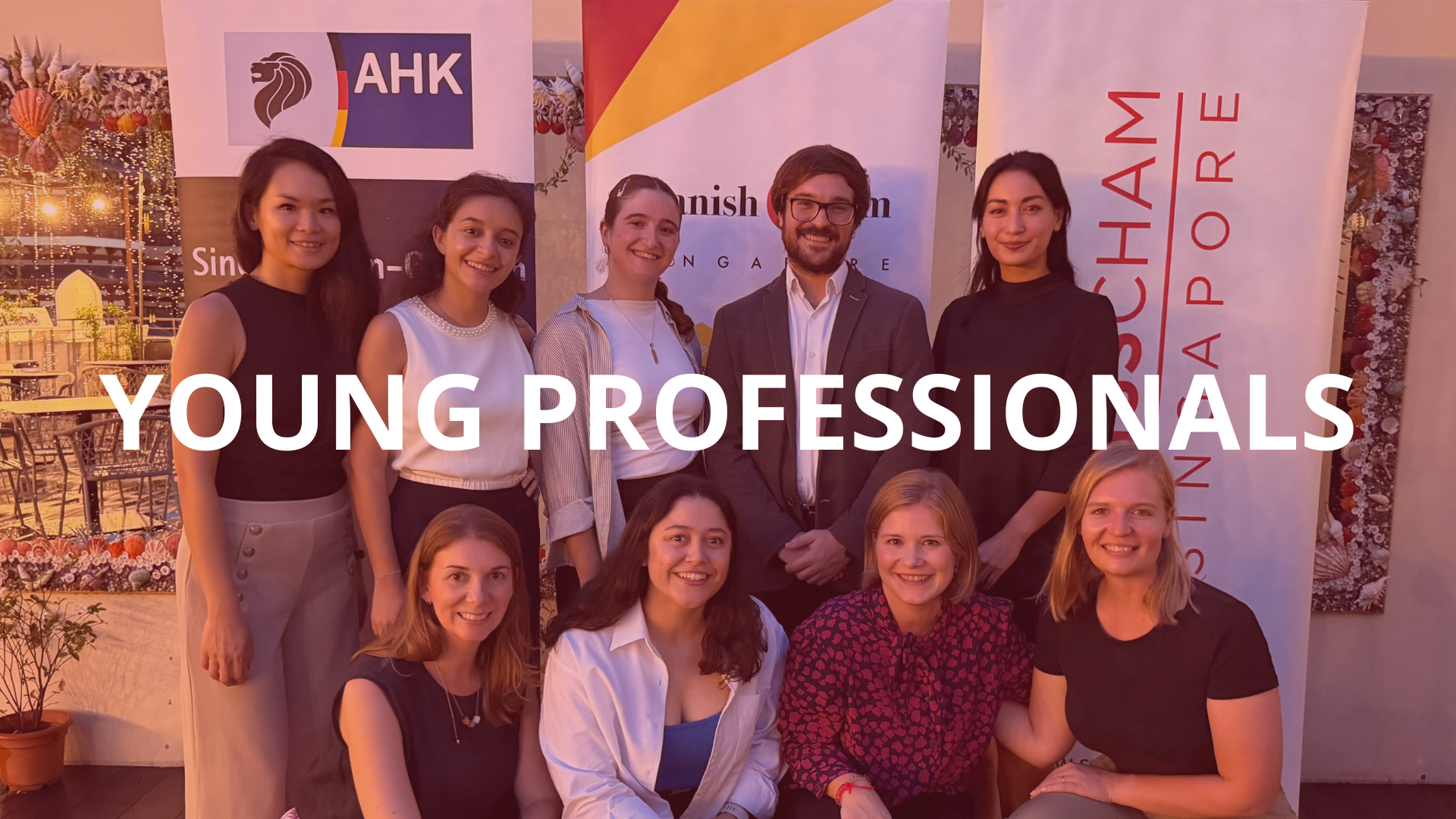 Young Professional Committee - Spanish Singaporean Chamber