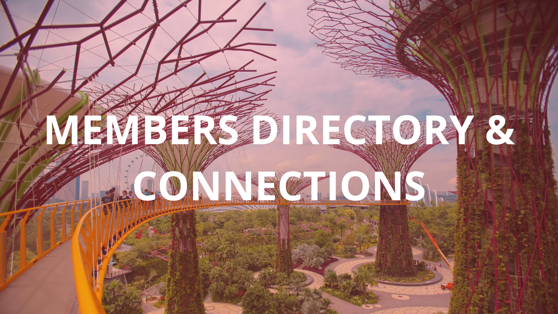 Members directory & connections - Spanish Chamber Singapore